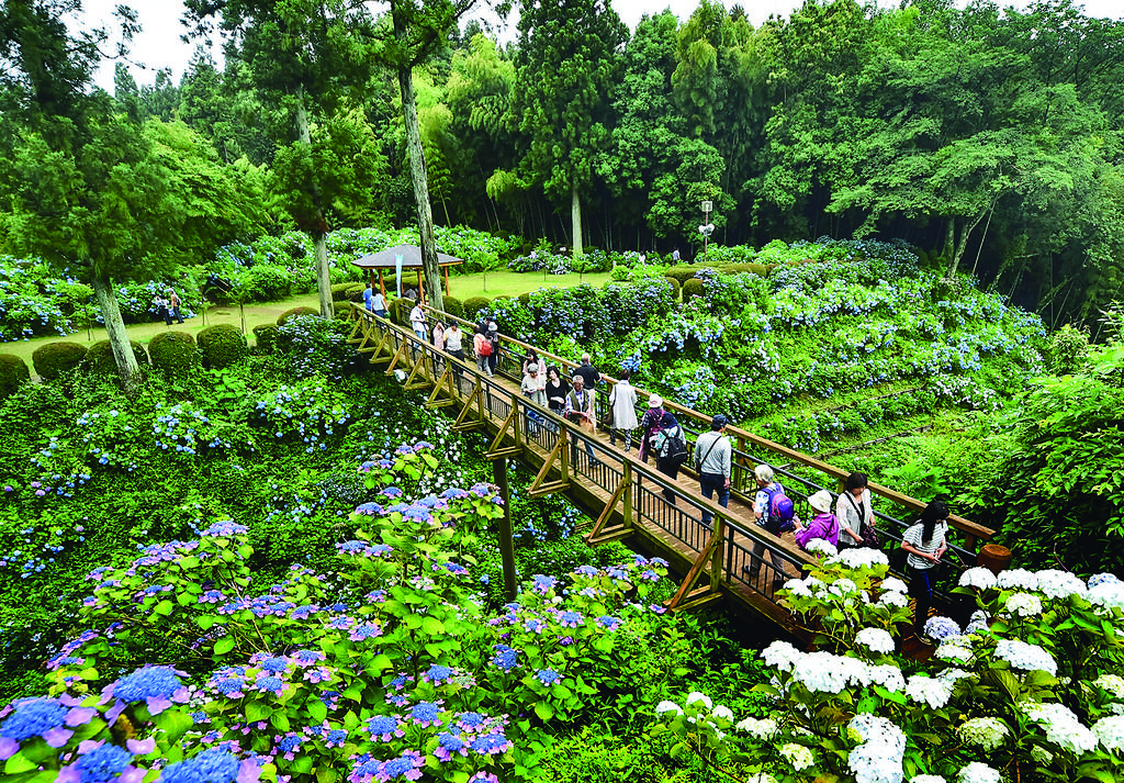 🏯 구로바네 성터 공원(쿠로바네죠시코엔) 이미지 6